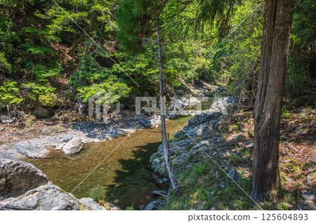 Kyoto's clear stream, Kiyotaki River, Ukyo Ward, Kyoto City 125604893