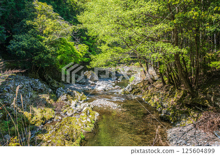 京都的清流,京都市右京區清瀧川 京都的清流,京都市右京區清瀧川 125604899