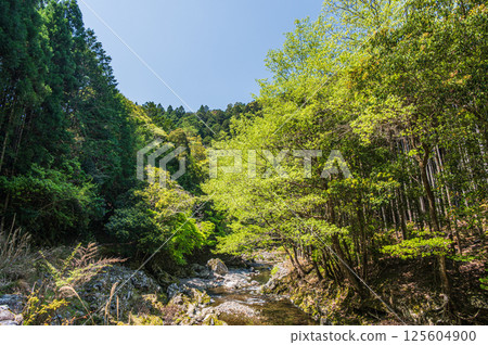 京都的清流，京都市右京區清瀧川 125604900