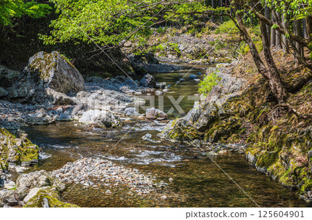 京都的清流，京都市右京區清瀧川 125604901