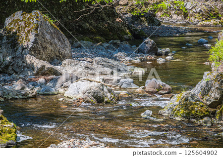 Kyoto's clear stream, Kiyotaki River, Ukyo Ward, Kyoto City 125604902