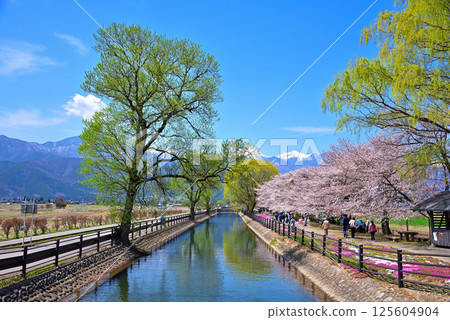 Spring in Azumino City, Nagano Prefecture: Shikaseki Bicycle Plaza Spring in Azumino City, Nagano Prefecture: Shikaseki Bicycle Plaza 125604904