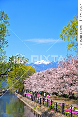 Spring in Azumino City, Nagano Prefecture: Shikaseki Bicycle Plaza Spring in Azumino City, Nagano Prefecture: Shikaseki Bicycle Plaza 125604907