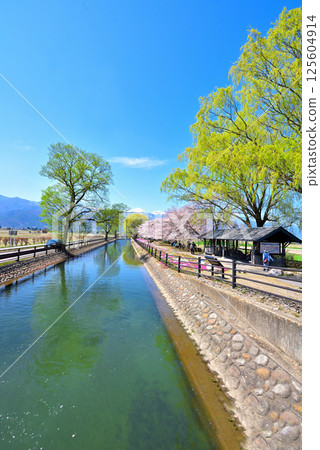 Spring in Azumino City, Nagano Prefecture: Shikaseki Bicycle Plaza Spring in Azumino City, Nagano Prefecture: Shikaseki Bicycle Plaza 125604914
