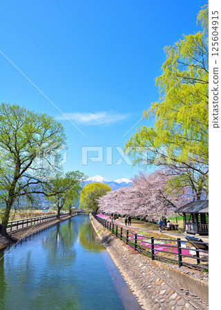 Spring in Azumino City, Nagano Prefecture: Shikaseki Bicycle Plaza Spring in Azumino City, Nagano Prefecture: Shikaseki Bicycle Plaza 125604915