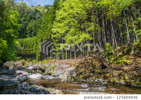 京都的清流，京都市右京區清瀧川 125604936