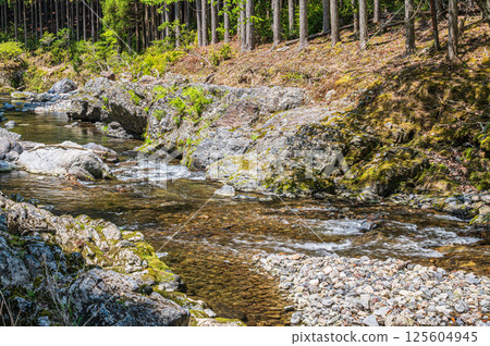 Kyoto's clear stream, Kiyotaki River, Ukyo Ward, Kyoto City Kyoto's clear stream, Kiyotaki River, Ukyo Ward, Kyoto City 125604945