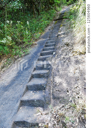 the steps on the rocks at the top of the mountain in Wuyi Mountain, Fujian Province, China 125604960