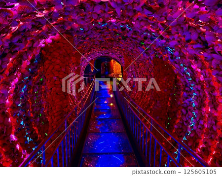 這是愛知縣蒲郡市竹島幻想博物館的時空隧道。 這是愛知縣蒲郡市竹島幻想博物館的時空隧道。 125605105