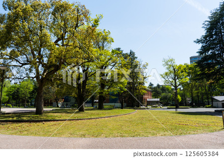 Clear blue sky and Ishikawa Fourth High School Memorial Park | Park image | Kanazawa City, Ishikawa Prefecture Clear blue sky and Ishikawa Fourth High School Memorial Park | Park image | Kanazawa City, Ishikawa Prefecture 125605384
