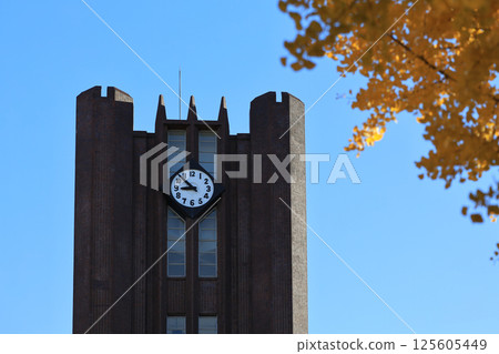 Clock Tower Against Clear Sky with Autumn Leaves in Foreground Dec 7 2024 Clock Tower Against Clear Sky with Autumn Leaves in Foreground Dec 7 2024 125605449