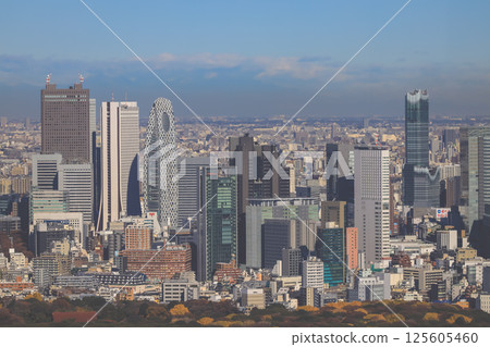 Urban Skyline of Tokyo City With Modern Skyscrapers, Tokyo Dec 10 2024 125605460