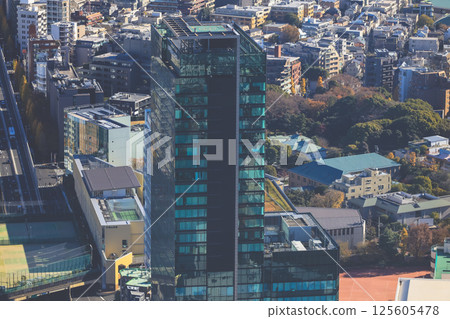 Dec 10 2024 View of City Highway and Buildings in Urban Landscape, Tokyo Dec 10 2024 View of City Highway and Buildings in Urban Landscape, Tokyo 125605478