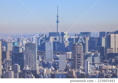 Dec 10 2024 Tokyo Cityscape with Skytree Tower Under Clear Blue Sky, Tokyo 125605483