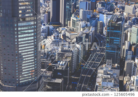 Dec 10 2024 View of City Highway and Buildings in Urban Landscape, Tokyo Dec 10 2024 View of City Highway and Buildings in Urban Landscape, Tokyo 125605496
