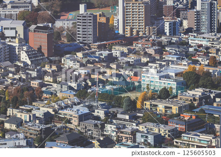 Dec 10 2024 View of Dense Urban Buildings in a Vibrant Cityscape, Tokyo 125605503