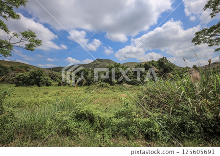 Green Meadow Under a Vibrant Blue Sky with Rolling Hills 125605691