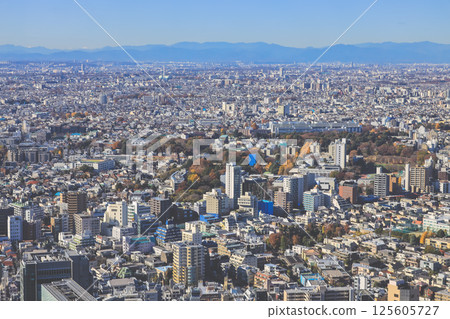 Dec 10 2024 View of Dense Urban Buildings in a Vibrant Cityscape, Tokyo 125605727