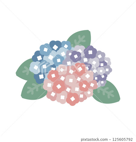 Hydrangea rainy season illustration Hydrangea rainy season illustration 125605792