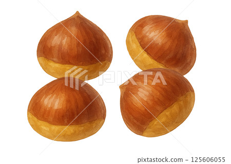 逼真的栗子插圖 - 適合秋天的味道和食物圖像 125606055