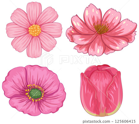 Elegant Pink Floral Vector Illustration Set Elegant Pink Floral Vector Illustration Set 125606415