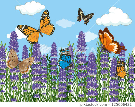 Butterflies in a Lavender Field on a Sunny Day 125606421