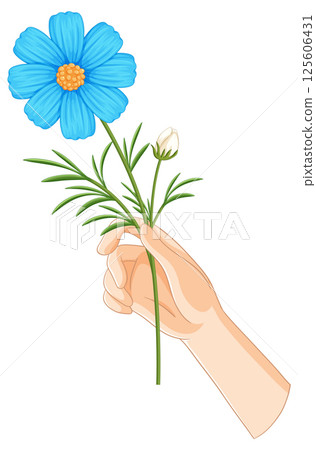 Hand Holding Blue Flower Vector Illustration 125606431