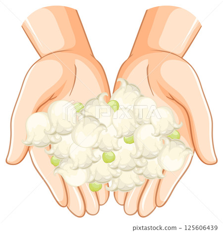Hands Holding Fresh Cotton Illustration 125606439