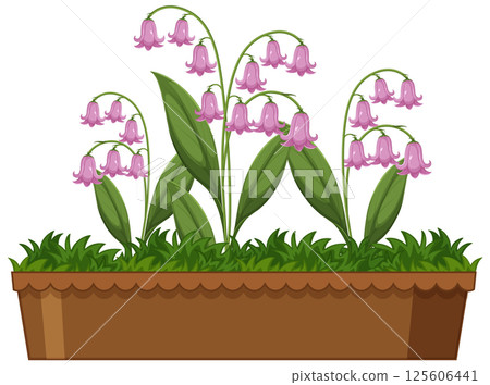 Pink Bell Flowers in a Planter Box Pink Bell Flowers in a Planter Box 125606441