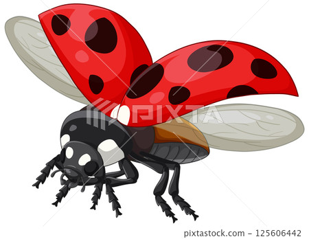 Vibrant Ladybug Vector Illustration with Open Wings Vibrant Ladybug Vector Illustration with Open Wings 125606442
