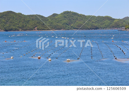 [Ehime Prefecture] Ashizuri-Uwakai National Park, Uwakai Sea, Pearl farming 125606509