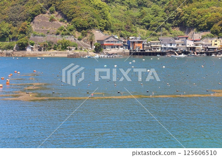[Ehime Prefecture] Ashizuri-Uwakai National Park, Uwakai Sea, Pearl farming 125606510