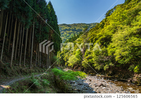 Kyoto's clear stream, Kiyotaki River, Ukyo Ward, Kyoto City Kyoto's clear stream, Kiyotaki River, Ukyo Ward, Kyoto City 125606565