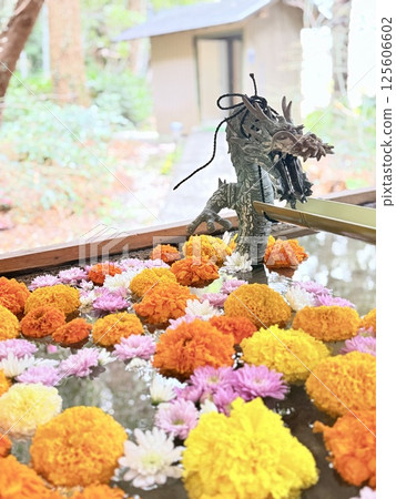 Dragon Fountain with Floating Flowers Dragon Fountain with Floating Flowers 125606602