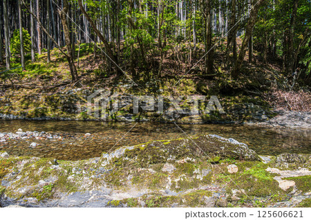 京都的清流，京都市右京區清瀧川 125606621