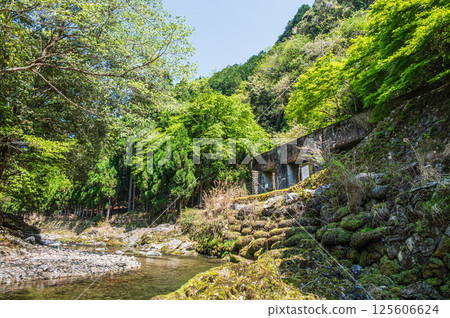 Kyoto's clear stream, Kiyotaki River, Ukyo Ward, Kyoto City 125606624