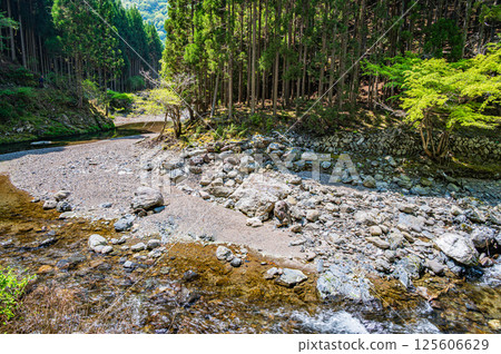 京都的清流，京都市右京區清瀧川 125606629