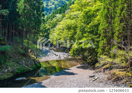 Kyoto's clear stream, Kiyotaki River, Ukyo Ward, Kyoto City 125606633