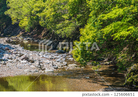 京都的清流，京都市右京區清瀧川 125606651