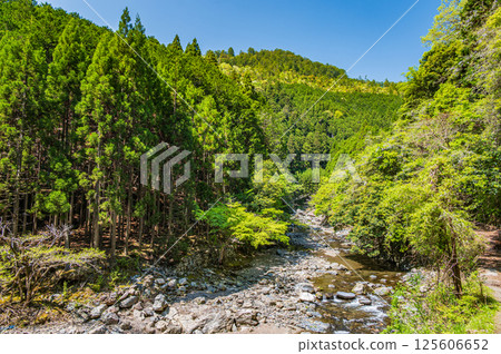 京都的清流，京都市右京區清瀧川 125606652
