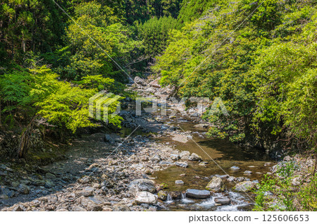 Kyoto's clear stream, Kiyotaki River, Ukyo Ward, Kyoto City Kyoto's clear stream, Kiyotaki River, Ukyo Ward, Kyoto City 125606653