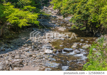 京都的清流,京都市右京區清瀧川 京都的清流,京都市右京區清瀧川 125606654