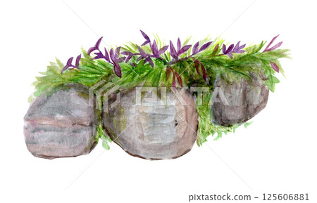Rock formation with grass, river side landscape design element. Watercolor hand painted illustration isolated on white. Nature, landscape, garden, climbing design. High quality illustration for cards Rock formation with grass, river side landscape design element. Watercolor hand painted illustration isolated on white. Nature, landscape, garden, climbing design. High quality illustration for cards 125606881