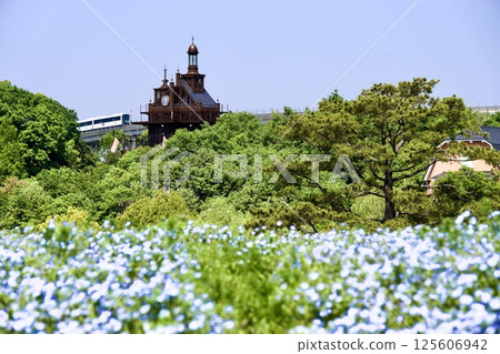 Nemophila and the elevator tower at Ghibli Park Nemophila and the elevator tower at Ghibli Park 125606942