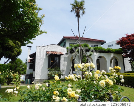 玫瑰與山手111大廈、港未來公園 125606972