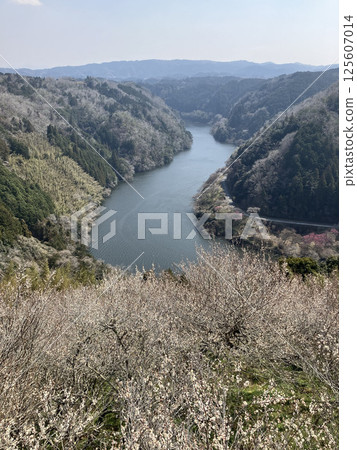 從月瀨梅林眺望名張川 125607014