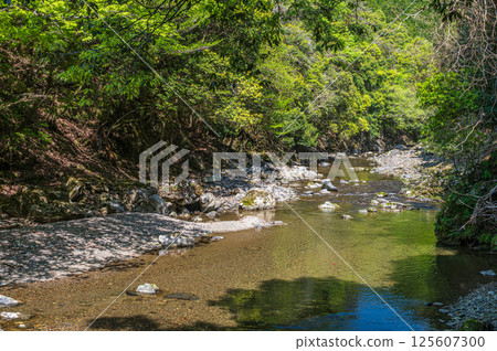 京都的清流，京都市右京區清瀧川 125607300
