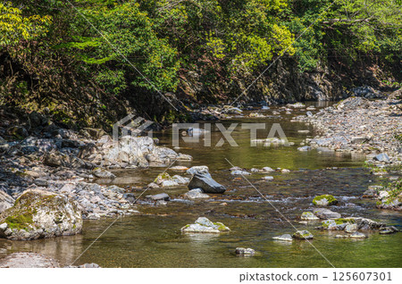 京都的清流，京都市右京區清瀧川 125607301