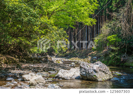 Kyoto's clear stream, Kiyotaki River, Ukyo Ward, Kyoto City 125607303