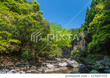 京都的清流，京都市右京區清瀧川 125607305